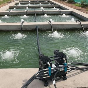 Pompe à air à entraînement sans huile super efficace de 1,5 CV pour bassin et lac jusqu'à 5 acres, avec 8 diffuseurs, vente directe usine HC15 - Product Image 1