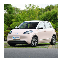 Voitures électriques Wuling Hongguang Wuling Bingo 2023 5 places 4 portes 120 km/h Blanc/Noir/Rouge/Gris