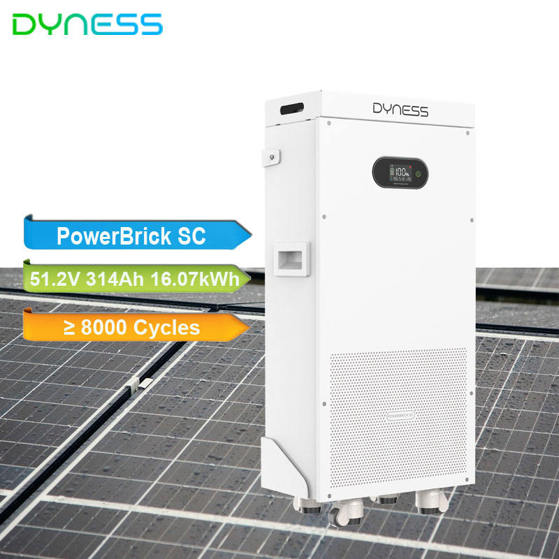 314ah Module Dyness PowerBrick SC 51.2v 314ah 8000 Cycles Life 16.07kWh Smart ...