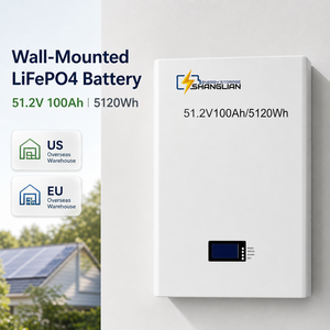 Wall <b>Mounted</b> 51.2V 100Ah LiFePO4 <b>Battery</b> 5120Wh Home Solar Energy Storage Powerwall <b>Battery</b> - Product Image 1
