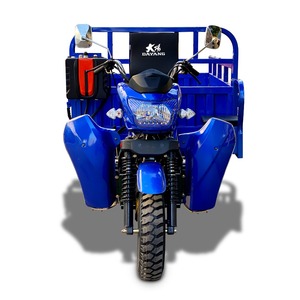 Alta calidad 3 ruedas motocicleta <span class=keywords><strong>furgonetas</strong></span> <span class=keywords><strong>de</strong></span> carga 250cc motor carga triciclo hidráulico 3 ruedas motocicleta 2024 - Product Image 1