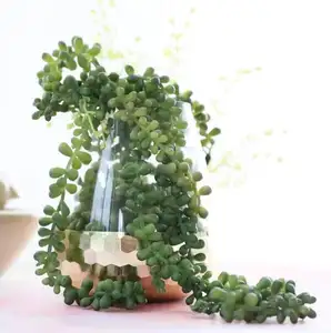 78cm fabbrica diretta simulazione di plastica morbida di gomma Lover strappa in lattice perline fiori artificiali e carnoso Rattan per il matrimonio a casa