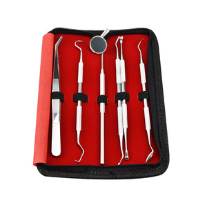 Équipement dentaire, Matériaux, Outils, Sondes, Miroirs dentaires, Instruments de soins, Ensemble d'outils dentaires en acier inoxydable (6 pièces) - Product Image 4