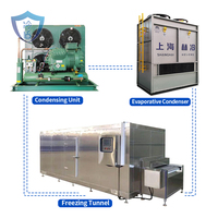 Congélateur tunnel automatique grande capacité en acier inoxydable avec moteur compresseur pour congélation rapide, équipement sur mesure pour viande aquatique