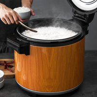 Réchaud à riz de table 100W 23L en acier inoxydable, réchaud à riz électrique commercial pour restaurant, fête