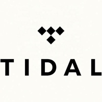 Abonnement Tidal Premium Tidal Music 12 mois, comptes Tidal, abonnement Tidal Hifi Plus 1 an