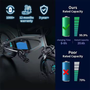 실버 물고기 전자 자전거 48V 20ah 30ah 전기 자전거 배터리 18650/21700 리튬 이온 팩 500W 1000W 1500W 모터 - Product Image 6