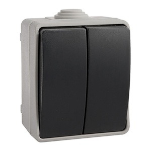 Interruttore doppio impermeabile 10AX 250V~ IP54 retrattile, ideale per installazioni elettriche in ambienti esterni e umidi. - Product Image 1