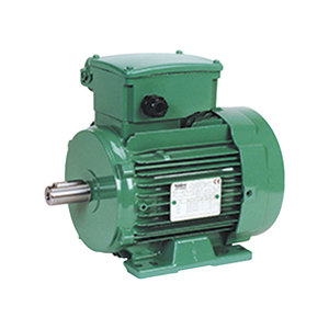 Motor de Inducción Leroy Somer Serie LS P, Instalación de un Solo Oído, Tipo Cilíndrico, Motor de CA - Product Image 3