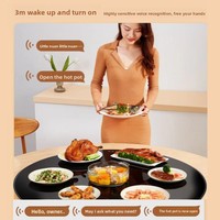 Plaque chauffante isolante pour aliments, ultra-mince, pour cuisinière à induction, plat tournant électrique pour fondue