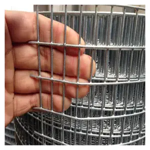 热浸镀工厂价格8号2x2英寸丝网防锈热浸镀锌焊接丝网围栏卷