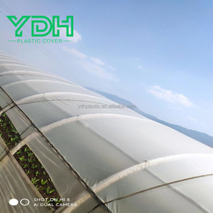 UV Resistant 6 Mil Thickness Blow Molding Plastic <strong>Greenhouse</strong> <strong>Cover</strong> <strong>Replacement</strong> Sheet for <strong>Greenhouses</strong> - Product Image 1