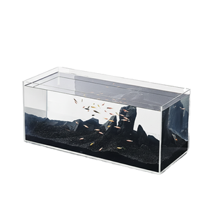 Modernes, schlichtes, rechteckiges, niedriges <span class=keywords><strong>Aquarium</strong></span> aus ultraklarem Eisen-Glas für den Schreibtisch mit Beleuchtung, extrem leise, 10L, kundenspezifische Verpackung - Product Image 1