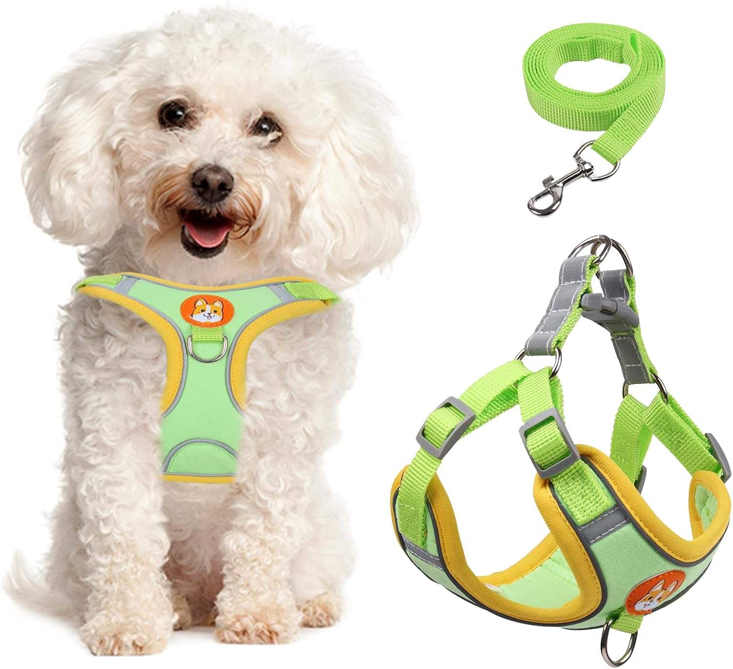 สีเขียว