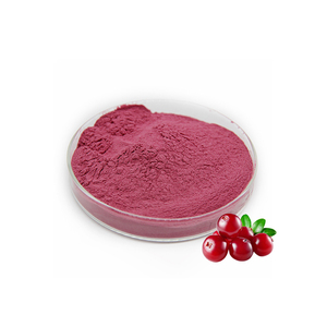 OEM/ODM Marque Privée Biologique Pure Naturelle Vitamine Alimentaire <span class=keywords><strong>de</strong></span> Qualité Alimentaire Boisson Instantanée Lyophilisée Poudre <span class=keywords><strong>de</strong></span> <span class=keywords><strong>Jus</strong></span> <span class=keywords><strong>de</strong></span> Fruit <span class=keywords><strong>de</strong></span> <span class=keywords><strong>Canneberge</strong></span> 100g - Product Image 3