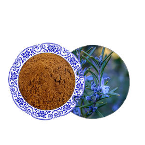 Высококачественный органический Чистый экстракт розмарина от производителя, экстракт розмарина 100% розмариновая кислота - Product Image 1