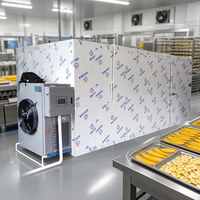 Mango-schijfjes droogmachine warmtepomp fruitdehydrator voor snackfabriek
