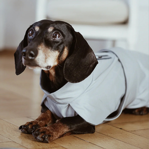 <span class=keywords><strong>Impermeable</strong></span> y Cortavientos para Perros, Diseño Dachshund, Ecológico, Tejido Reflectante, para Perros Pequeños/Medianos/Grandes, Europa - Product Image 4