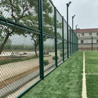 Clôture en treillis soudé galvanisé à mailles losangées avec revêtement PVC pour poulailler, jardin, balcon et sécurité
