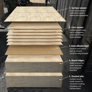 CDX Prix inférieur <span class=keywords><strong>Contreplaqué</strong></span> extérieur en <span class=keywords><strong>pin</strong></span> 4x8 <span class=keywords><strong>Contreplaqué</strong></span> structurel imperméable en <span class=keywords><strong>pin</strong></span> CDX pour la construction - Product Image 3