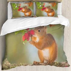 Digital Printed Peacock Polyester <strong>3D</strong> Bedsheet Microfiber Queen Size Custom <strong>Bedding</strong> <strong>Set</strong> Bed Sheet <strong>Sets</strong> - Product Image 4