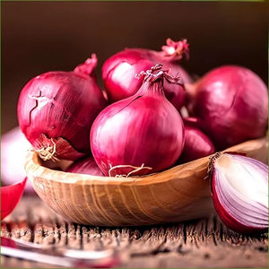Cebollas Rojas Frescas de Primera Calidad Certificadas ISO 22000/HACCP/GLOBAL GAP, Cosecha 2026, Tamaño 8cm+, en Bolsa de Malla/Caja de 10kg/20kg - Product Image 2