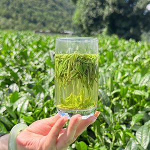 2025 नए आगमन G-TZ05 डिटॉक्सिफाइंग स्प्रिंग चयनित ग्रीन टी वेगन प्रमाणित प्लास्टिक-मुक्त क्लोरोफिल को बढ़ावा देते हैं - Product Image 3