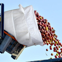 Bolsa Jumbo FIBC de PP Transpirable con Fondo Plano, Bolsa de Tonelada con Deflector, Bolsa a Granel Industrial Grande para Arena de Sílice, Grado Alimenticio, 500-3000kg, Tipo Cross