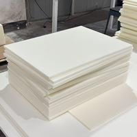 Plaque/Planche en mousse PP EPP à cellules ouvertes/fermées résistante au feu ANCS CY63 1220x2440mm de qualité alimentaire pour découpe, véhicule frigorifique, camion