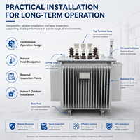 Transformador de Distribución Trifásico S22 de 10kV, Alta Eficiencia y Baja Pérdida, Sumergido en Aceite