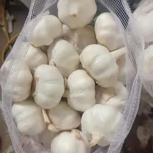 Fresh Garlic Red Purple Normal White With 5.5CM Best Price Wholesales From China Factory