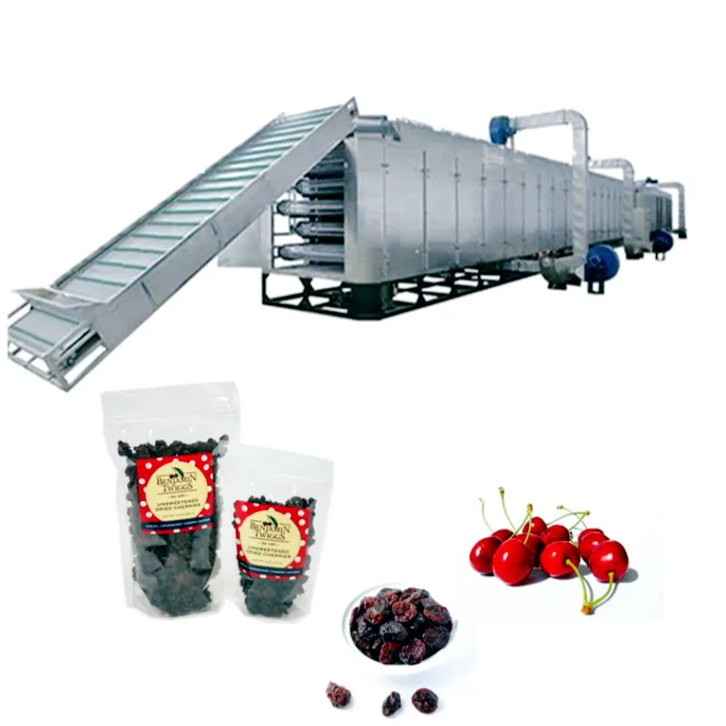 Continuous Real Cacao Spice Seed Hot Air Belt Dryer Machine Food Fruit Vegetable Drying Machine