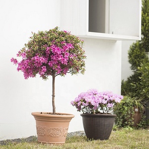 Yuncheng 12 "16" 20 "pouces 30 <span class=keywords><strong>40</strong></span> 50 <span class=keywords><strong>Cm</strong></span> jardin extérieur plante jardinière en plastique moulé par soufflage décoratif Imitation rotin <span class=keywords><strong>Pot</strong></span> de <span class=keywords><strong>fleur</strong></span> - Product Image 3