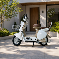 Scooter électrique élégant et écologique pour femmes et hommes, longue autonomie, cyclomoteur électrique portable pour les déplacements urbains, prix d'usine