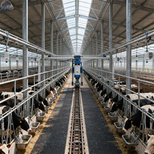 Structure en acier léger préfabriquée de conception industrielle moderne pour abri d'élevage, abri pour bovins, abri pour moutons, poulailler, gymnase, supermarché - Product Image 2