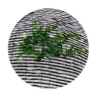 Filet d'ombrage anti-UV et anti-âge en tissage uni pour la culture du gingembre, l'utilisation en serre, la culture de champignons/la germination des semis