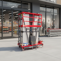 Plateforme élévatrice électrique mobile hydraulique à mât vertical en aluminium, 4m, 6m, 8m, 10m, 12m, 14m, pour une ou deux personnes