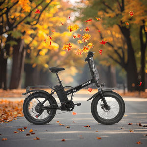 Vélo tout-terrain <span class=keywords><strong>électrique</strong></span> pliant de 20 <span class=keywords><strong>pouces</strong></span>, moteur <span class=keywords><strong>1000W</strong></span>, batterie au Lithium, vente à chaud - Product Image 1