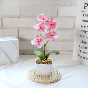 Orchidée Phalaenopsis Artificielle Classique Faite à la Main au Toucher Réel, Miniature en Pot, Fleur Blanche en Plastique, Étanche et Écologique - Product Image 4