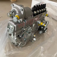 Fuel Injection Pump Assembly 1001830368 for Weichai WP12 WP13 Engine