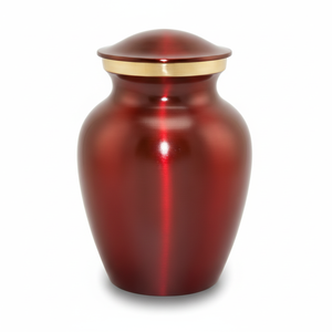 Urnas de cremación de latón de alta calidad para cenizas de mascotas urnas funerarias pequeños suministros funerarios urna clásica elegante al por mayor mascota - Product Image 1