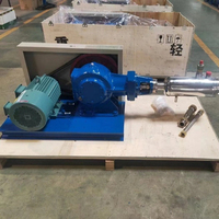 Pompe cryogénique certifiée CE pompe à oxygène liquide/azote/argon/CO2/GNL pour station de remplissage de gaz mélangé et gazéification
