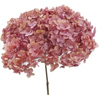 Neueste hochwertige Hotsale konservierte Anna Hortensie Blume mit Stiel 20cm weiße Hortensie für Home Wedding Decor