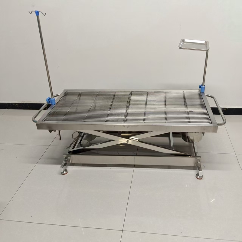 Factory Outlet Stainless Steel Pet Electric