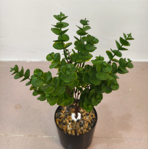 Planta verde artificial, hoja de eucalipto individual, planta de la suerte, decoración para paisajismo. - Product Image 6