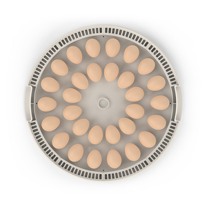 Commercio all'ingrosso completamente automatico Mini 30 uova di gallina incubatore alto tasso di cova CE approvato un anno di garanzia libera parti di ricambio per animali domestici - Product Image 2