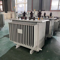 Transformateur de régulation de tension immergé dans l'huile à trois phases, tension de sortie réglable, 50/60Hz, certifié ISO CE pour laboratoire