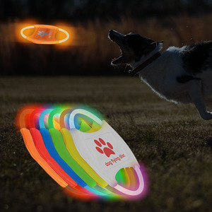 Disco Volador para Perros Noontorch con Luz LED Recargable, Juguete para Mascotas para Entrenamiento y Juego, 120 mm, Regalo Personal - Product Image 2