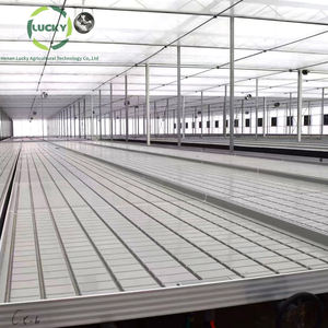 Grands plateaux d'inondation <span class=keywords><strong>de</strong></span> banc roulant <span class=keywords><strong>de</strong></span> qualité commerciale <span class=keywords><strong>Table</strong></span> <span class=keywords><strong>de</strong></span> <span class=keywords><strong>lit</strong></span> <span class=keywords><strong>de</strong></span> culture <span class=keywords><strong>de</strong></span> graines <span class=keywords><strong>de</strong></span> pépinière réglable pour jardins intérieurs - Product Image 2