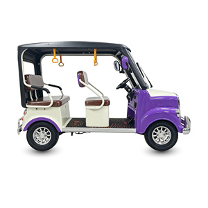 Voiturette de golf électrique vintage Holladay 4 places, frein à disque sur quatre roues, quadricycles électriques 1000W pour adultes - Product Image 3